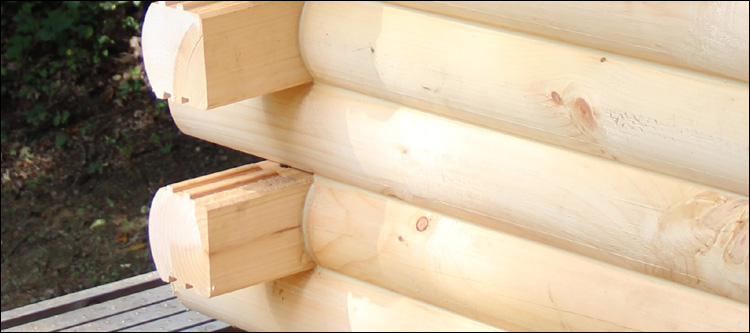 Log Home Damage Repair  Thousandsticks, Kentucky