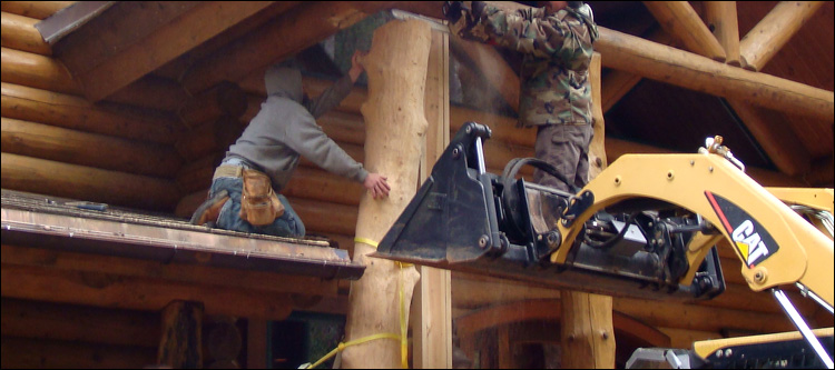 Log Home Log Replacement  Mozelle, Kentucky